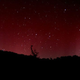 Illustration for article titled When the aurora glows blood red